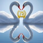 75 jaar avifauna