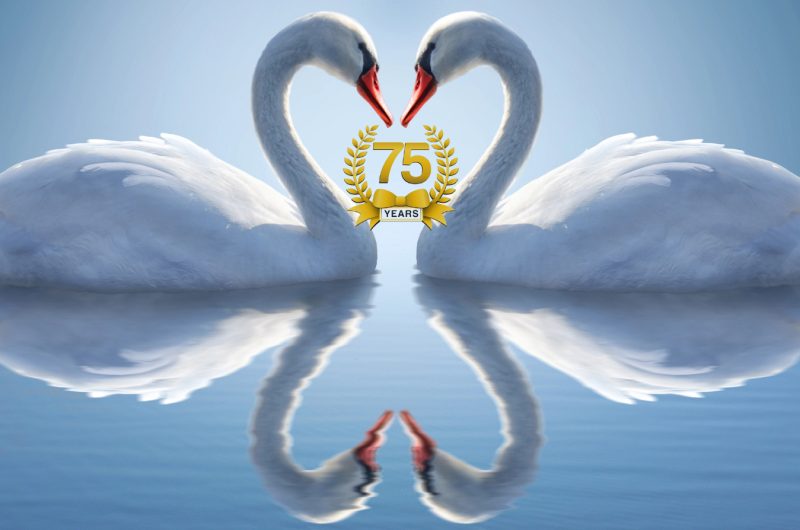 75 jaar avifauna