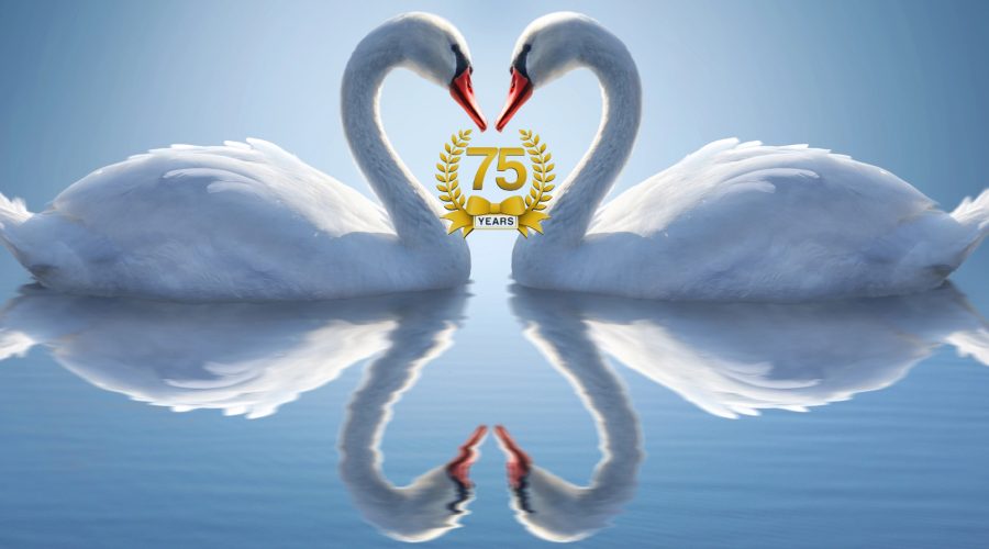75 jaar avifauna