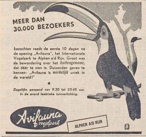 Hoe Avifauna begon op 17 mei 1950