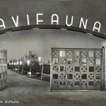 toegangspoort Avifauna 1950
