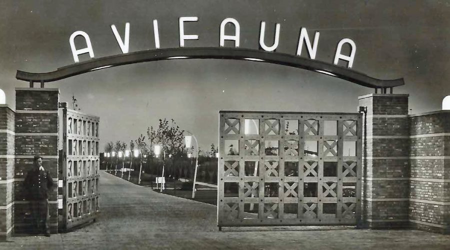 toegangspoort Avifauna 1950