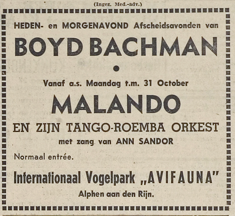 Boyd Bachman en Malando in Avifauna