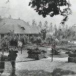 Het licht en Donkerhuis Avifauna 1950-1953