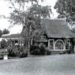 souvenir huisje in Avifauna 1950