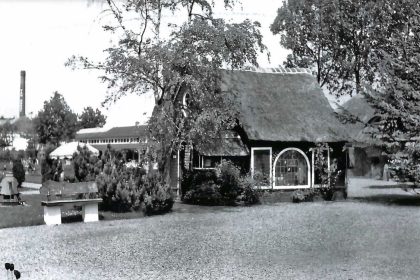 souvenir huisje in Avifauna 1950